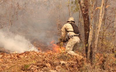 ¿Sabías que provocar un incendio forestal es un delito penado por la ley?