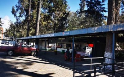 Reapertura del Zoológico Minerva se atrasará unas dos semanas