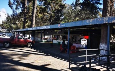 Confirman fecha para reapertura del Zoológico Minerva de Quetzaltenango