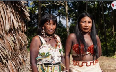 Expedición en la Amazonia colombiana busca rescatar sabiduría indígena