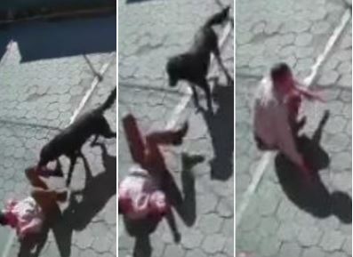 Perros atacan a un hombre en la zona 9 de Xela