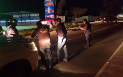 Hombre muere arrollado en la circunvalación de Salcajá