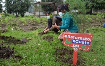 Inab invita a unirse a programa de educación y reforestación
