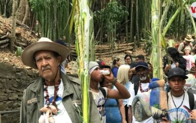 Palmeros de Chacao, una tradición con más de 200 años de fervor en Venezuela