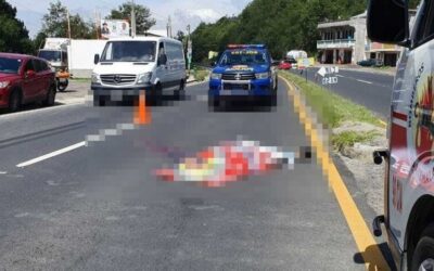 Hombre muere arrollado en la ruta Interamericana