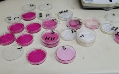 EMAX finaliza muestreo de agua en centros educativos, ¿Cuáles son los resultados?