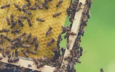 ¿Qué eventos importantes se registran el 21 de junio?