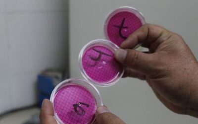 EMAX analiza calidad de agua en centros de votación