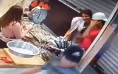 Cámara graba forma en que opera banda de delincuentes