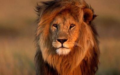 ¿Qué eventos importantes se registran el 10 de agosto?