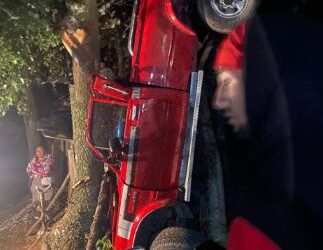 Picop cae a una hondonada y queda incrustado en árboles