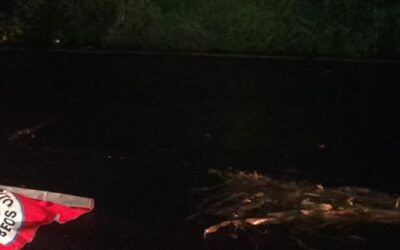 Hombre muere arrollado en la ruta Interamericana