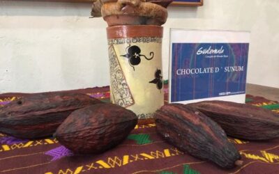 Organizan Primer Festival de Esculturas y Figuras de Chocolate