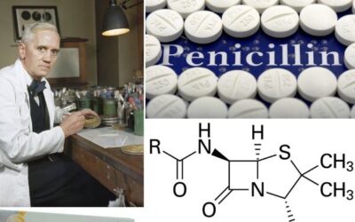Hace 95 años fue descubierta la penicilina