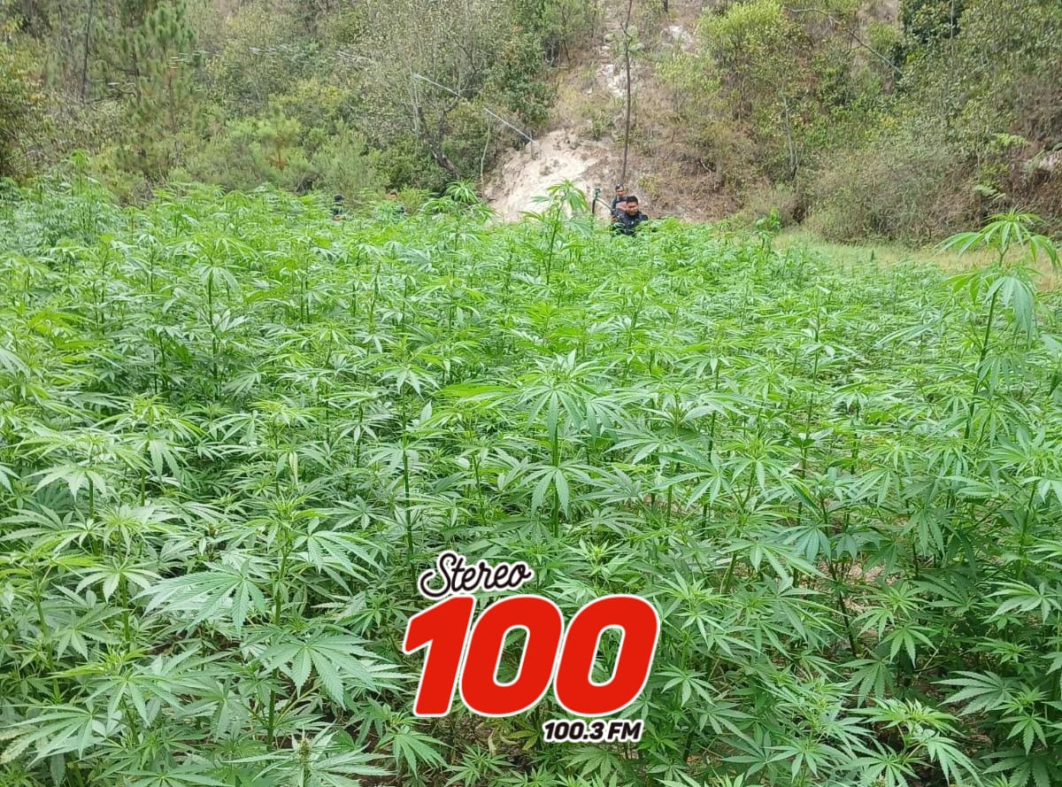 478c57e0-b09c-48f1-9c81-addf49e795ac