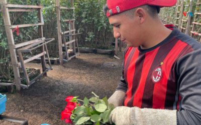 Del campo de Colombia a EEUU: Así “viajan” las flores que hoy se entregan para el día de San Valentín