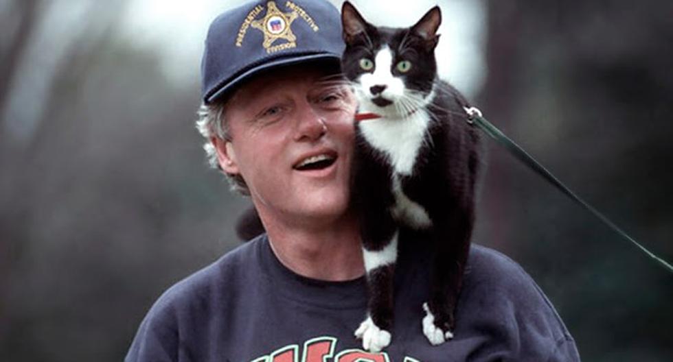 b94e2bc3-5d0c-409f-b464-50fa5f57a5a4