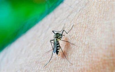 Salud declara emergencia nacional por la epidemia de dengue