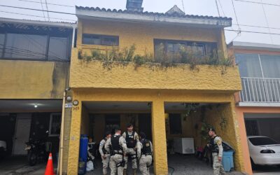 Localizan a un tigre de bengala en una vivienda