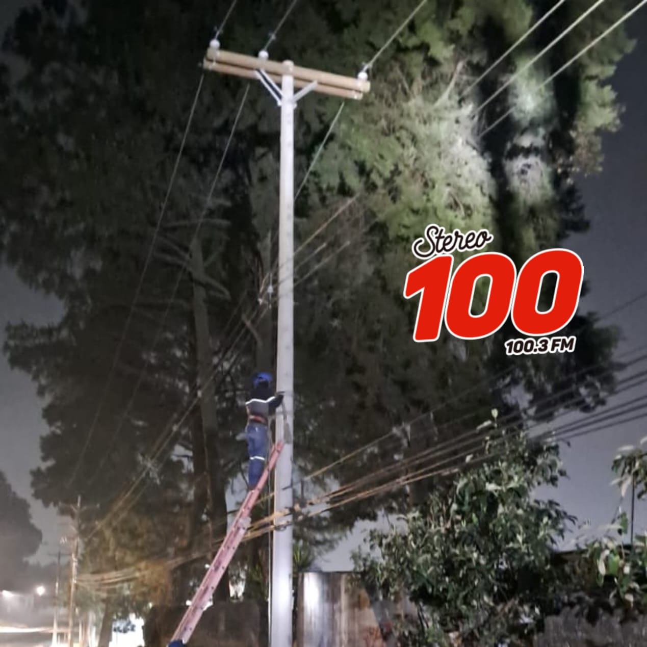 6141c3b5-1dce-4f19-a8fc-f23ba4c10a62