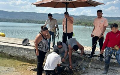 Cocodrilo rescatado. Advertencia para vecinos en el lago Petén Itzá