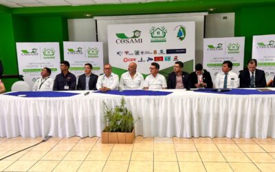Anuncian campaña de reforestación en Totonicapán
