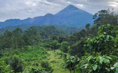 ¿Cuál es el panorama en el volcán Santiaguito?
