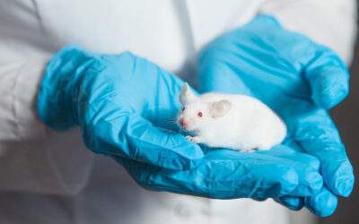 Salud: Vacuna contra el cáncer funciona con éxito en ratones