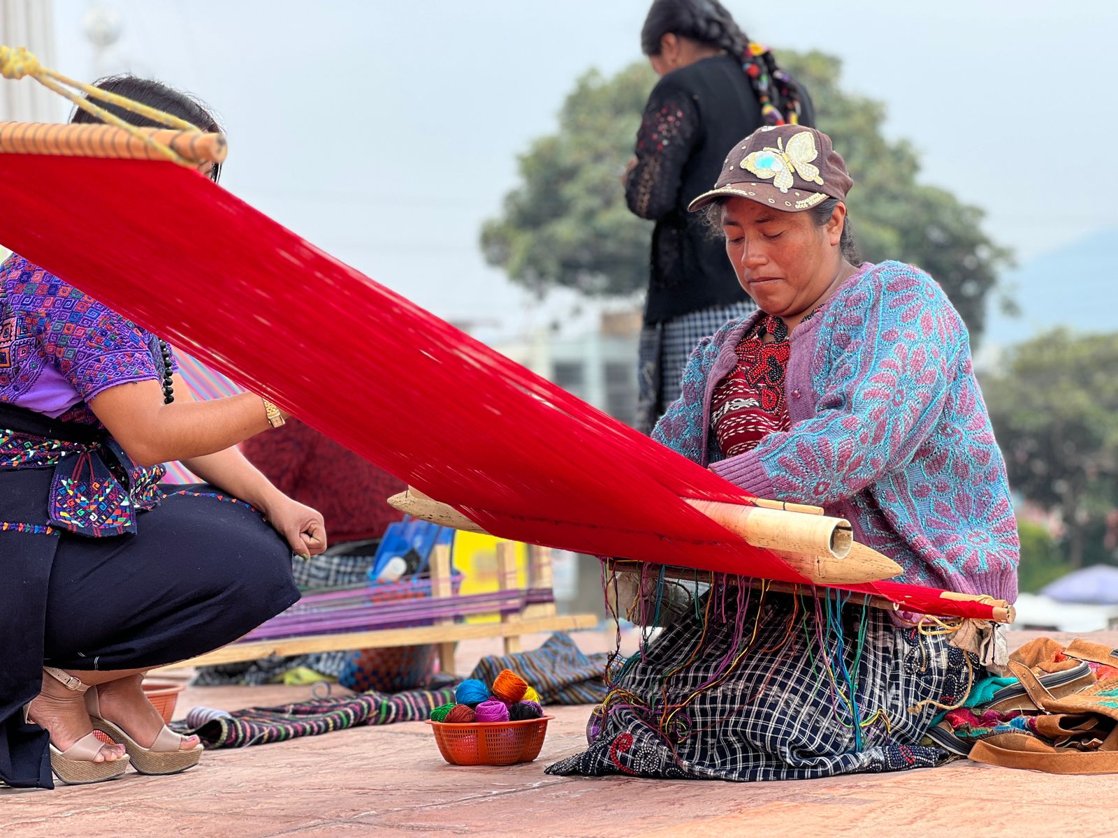 7113c47d-41a5-49d4-994d-95b45cbad036