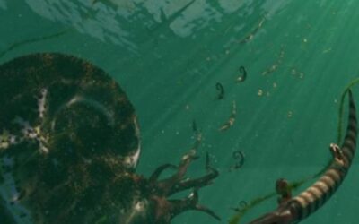 El asteroide que acabó con los dinosarios sentenció a los amonites