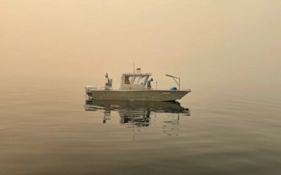 El humo de los incendios alcanzó el 99% de lagos en EEUU en 2019-2021