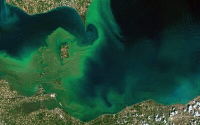 La mitad de los lagos del mundo pierden resiliencia hace décadas