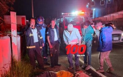 Sale a buscar alimentos y muere arrollado