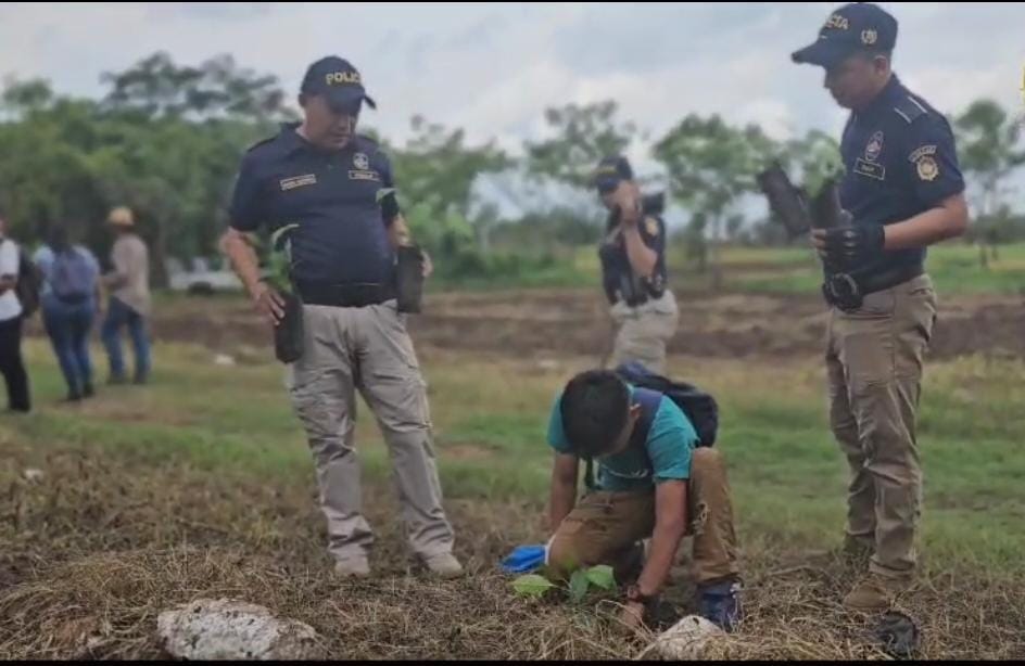 c6cc0390-24c4-42b1-b00f-32c1b4677707