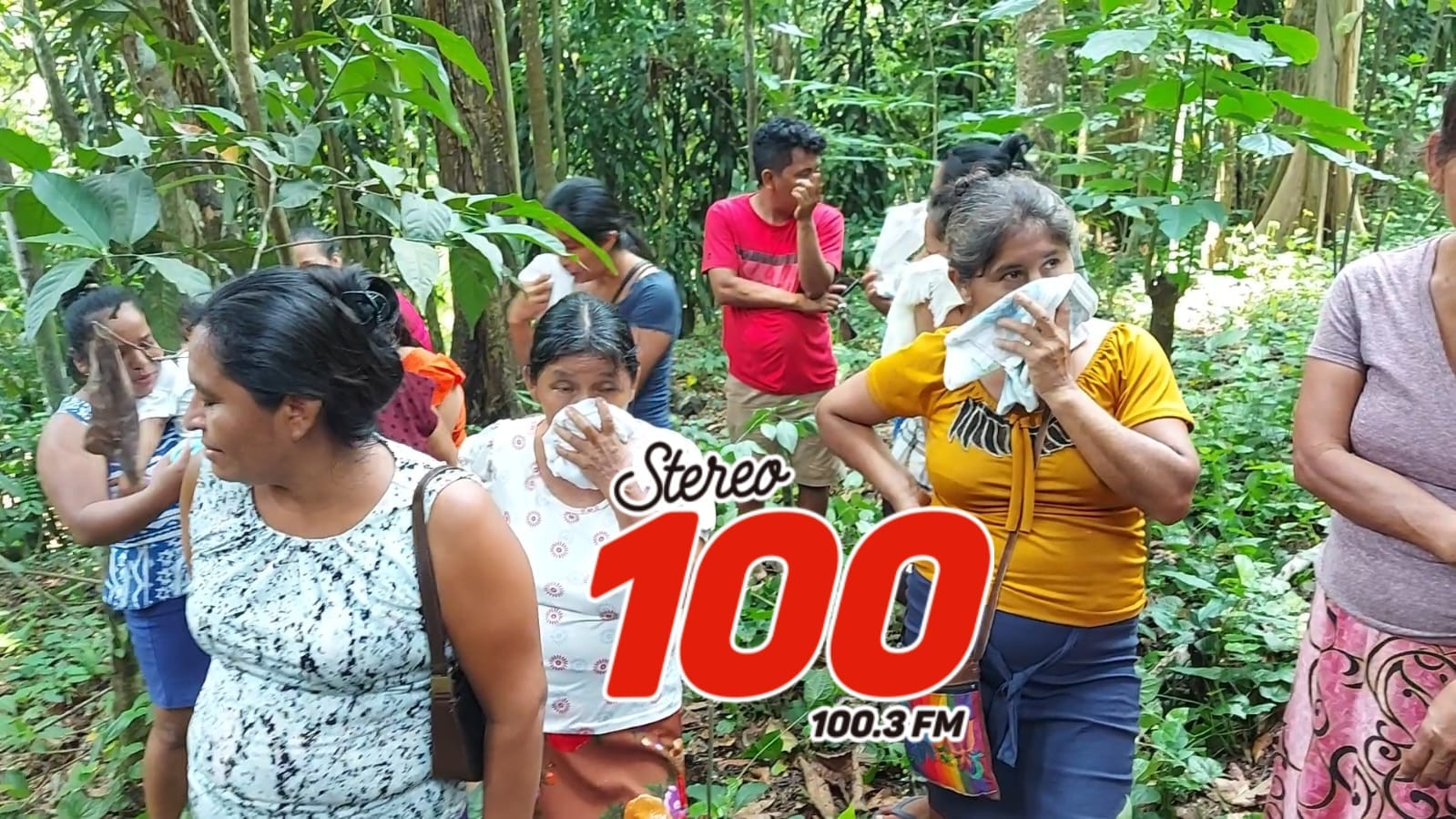 d97ec409-d98d-4137-af77-acfb3d48e18c