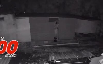 Cámara de seguridad graba a hombre cuando ingresa a vivienda para robar