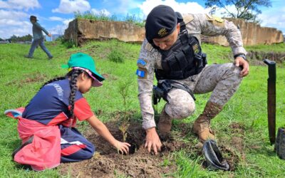 Reforestación en Cantel