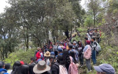 Reforestar en el cerro Candelaria