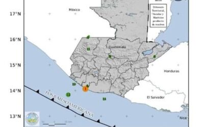 Insivumeh registra 14 sismos en las últimas 24 horas