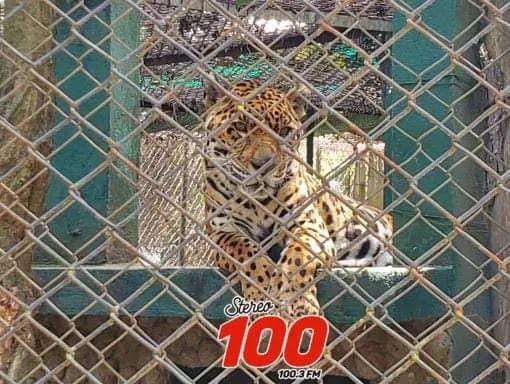 FB_IMG_1724968606586