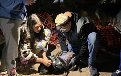 Rescatan a «Minerva» de pozo de absorción, de unos 8 metros, en la zona 3 de Quetzaltenango