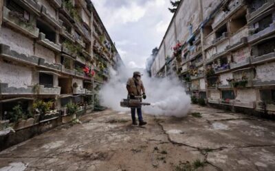 Ministerio de Salud de Guatemala reporta más de 100 muertes por dengue