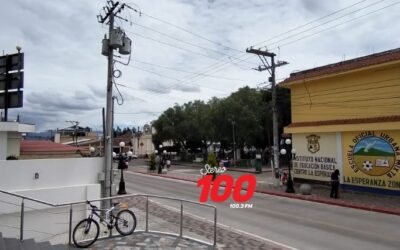 ¿Qué acciones implementan por la proliferación de perros en condición de calle?