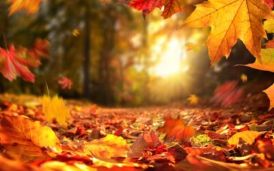 Equinoccio de otoño.