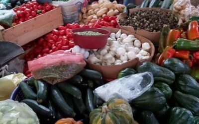 Encuesta: ¿Cuáles son los cinco problemas que más afectan a los quetzaltecos?