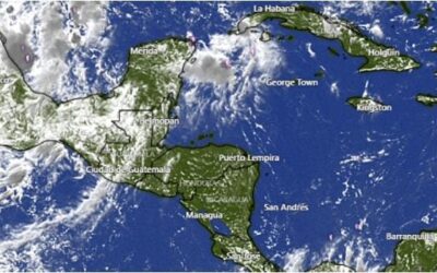 Conred emite boletín informativo.