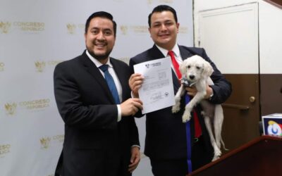Diputados presentan iniciativa para reformas a Ley de Protección y Bienestar Animal