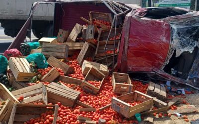 Pareja y su hijo heridos al volcar camión en la ruta Interamericana