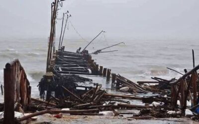 Al menos cuatro muertos y 3 millones sin luz tras paso de Milton por la Florida