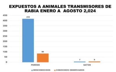 Más de 500 casos de mordeduras de perros en lo que va del año en la cabecera departamental de Totonicapán